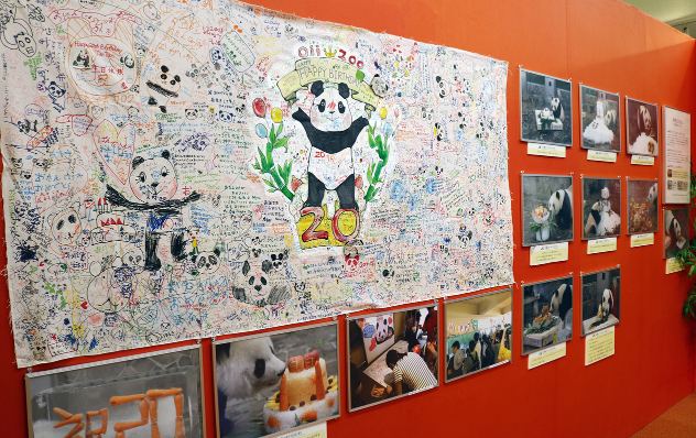 神户举办“感谢旦旦”特别展 现场都有啥？