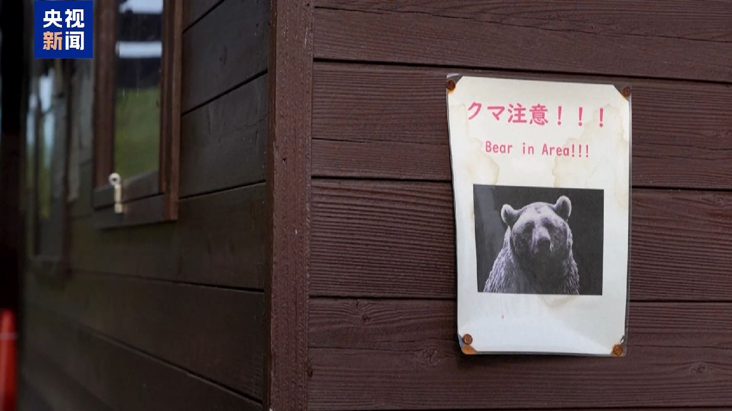 熊害”已致13人死亡日本防熊产品热销